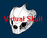 Virtual Skull 