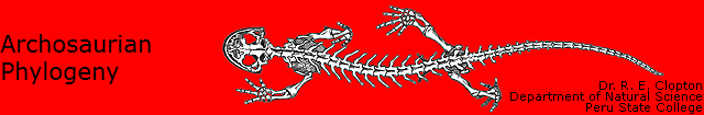 Archosaurian
Phylogeny