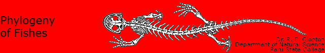 Phylogeny
of Fishes