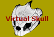 Virtual Skull
