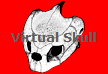 Virtual Skull