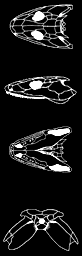 ss1110